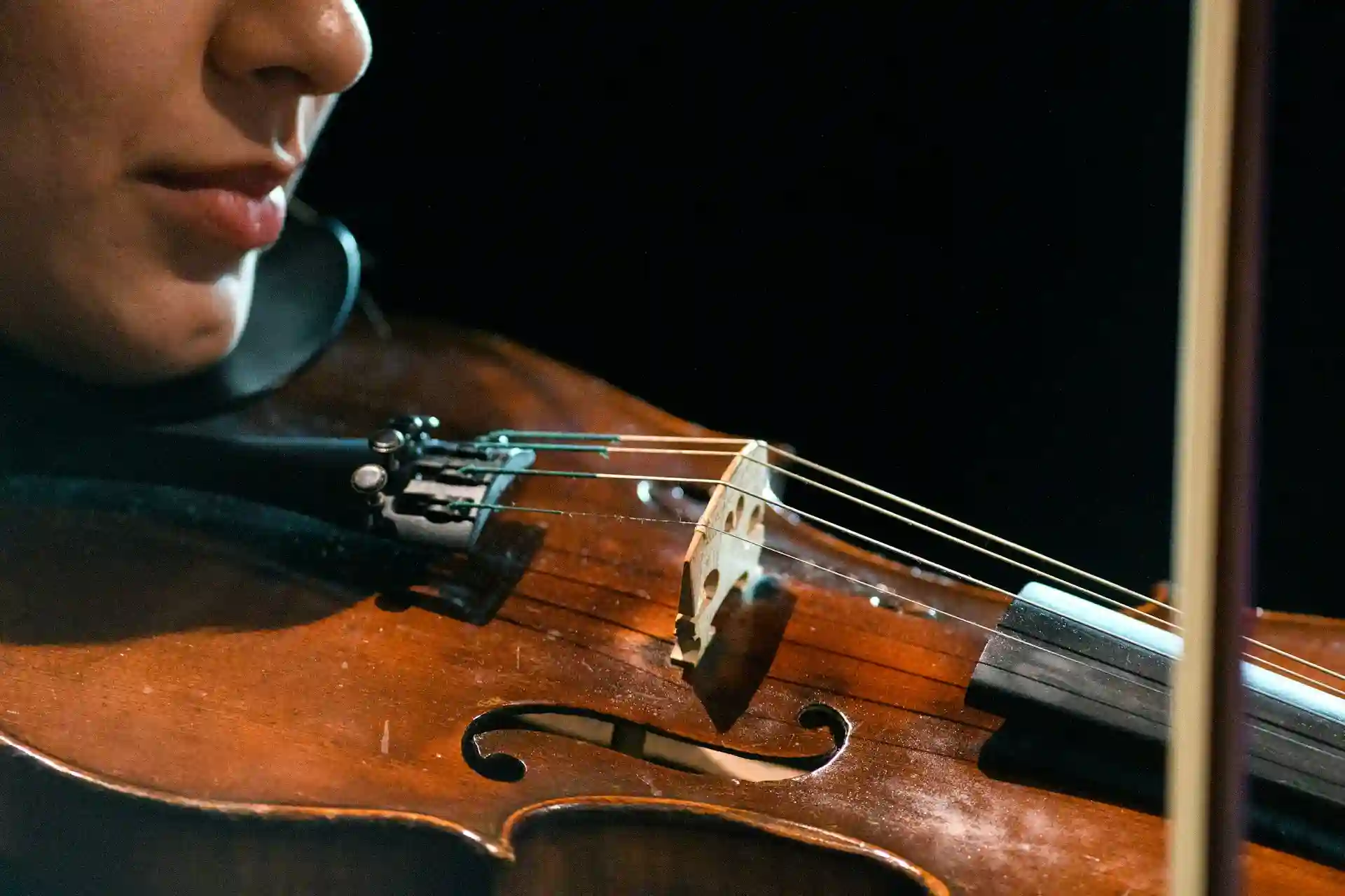 Violín